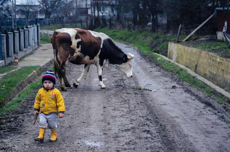 شاهدوا سحر الحياة البسيطة في رومانيا